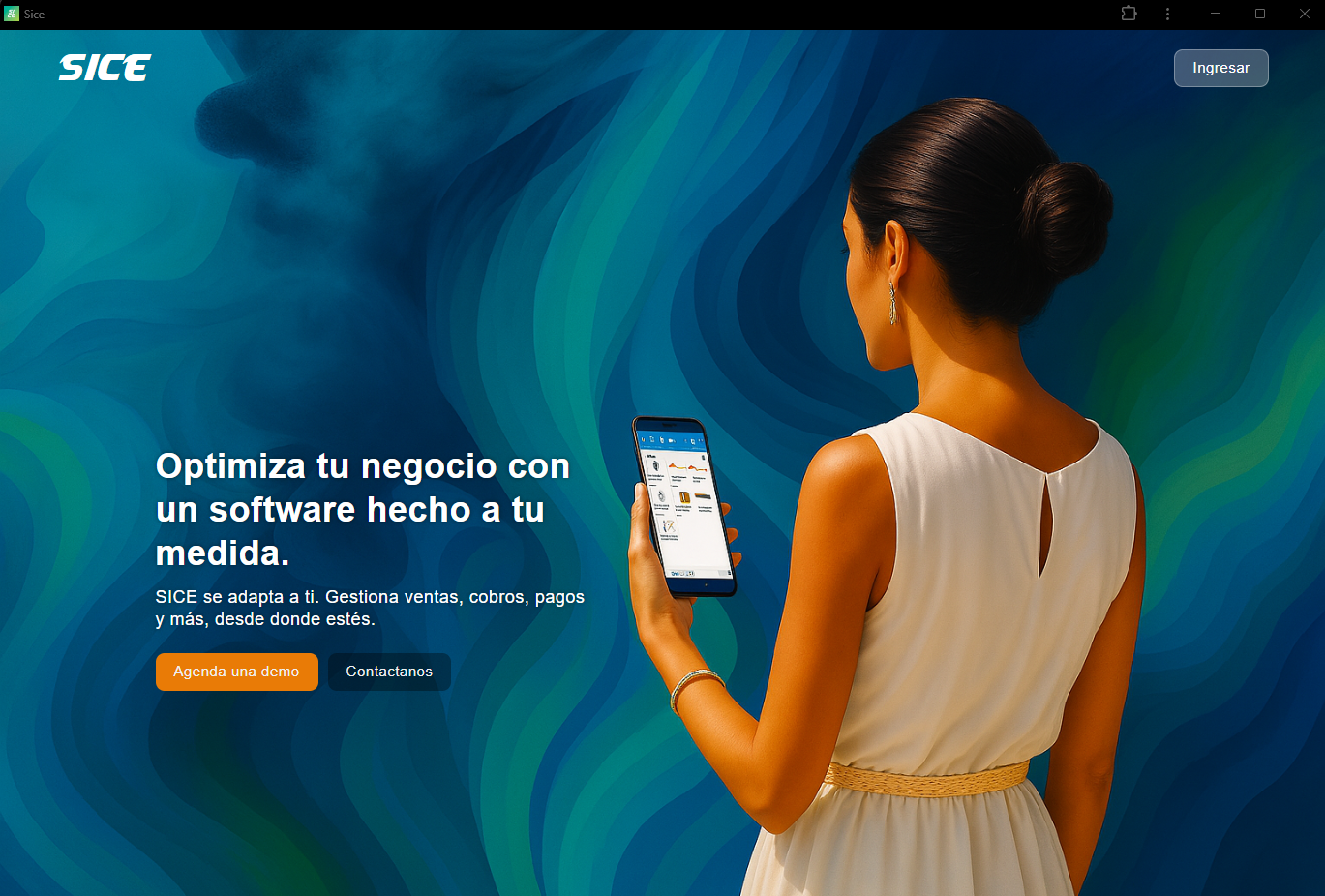 SICE - Business Management Platform